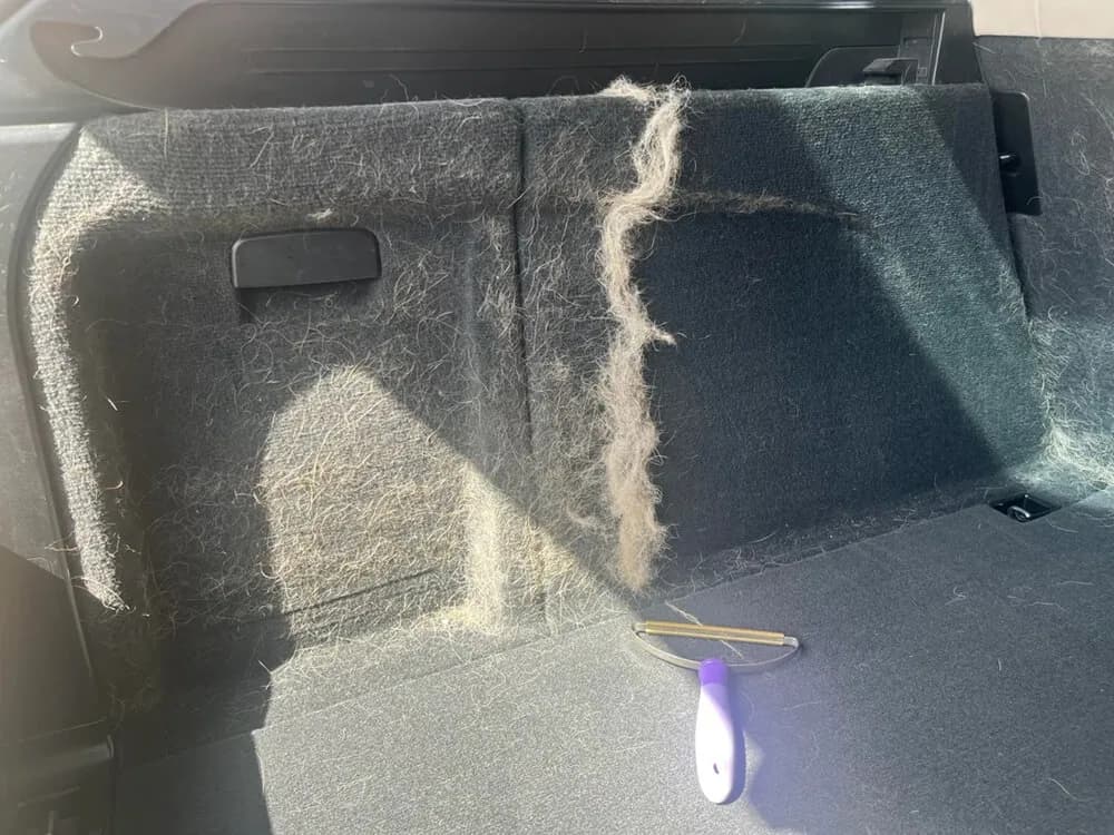 Pranie tapicerki w aucie po psie i dziecku — ARM CAR Gdańsk